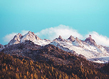 kaiyun.com云端新纪元：让企业数字化转型更简单